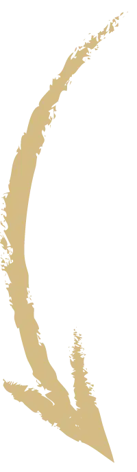 mend arrow